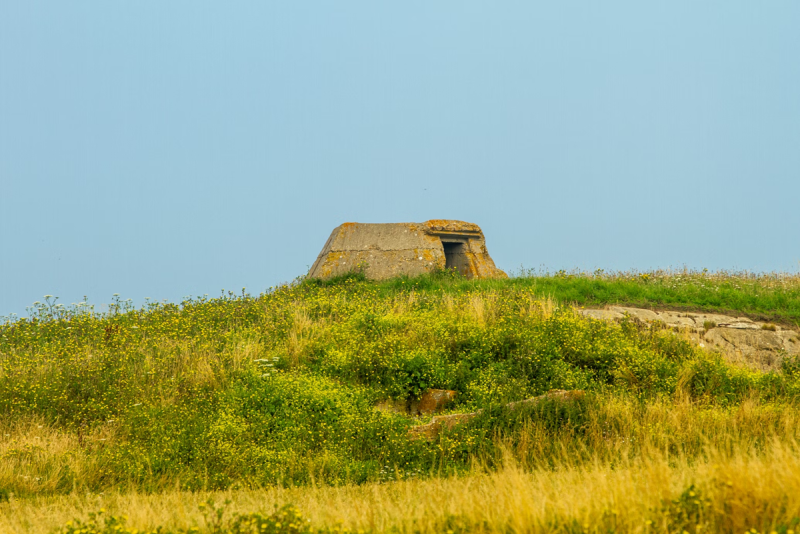  📷    Источник изображения: Kristof Morlion/unsplash.com