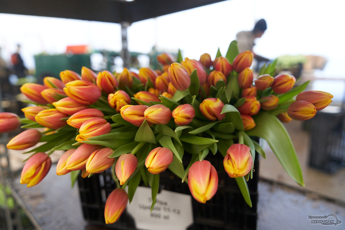    Фото: Лидия Аникина © ИА «Уральский меридиан»