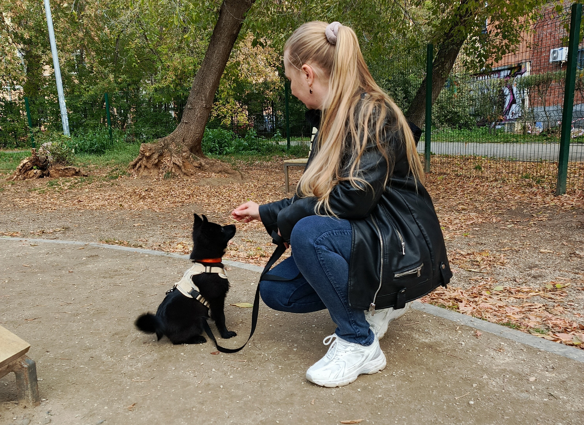 Ой, как много владельцев боятся поощрять свою собаку лакомством. Как будто она их продает за кусочек. Но это в корне не верно.