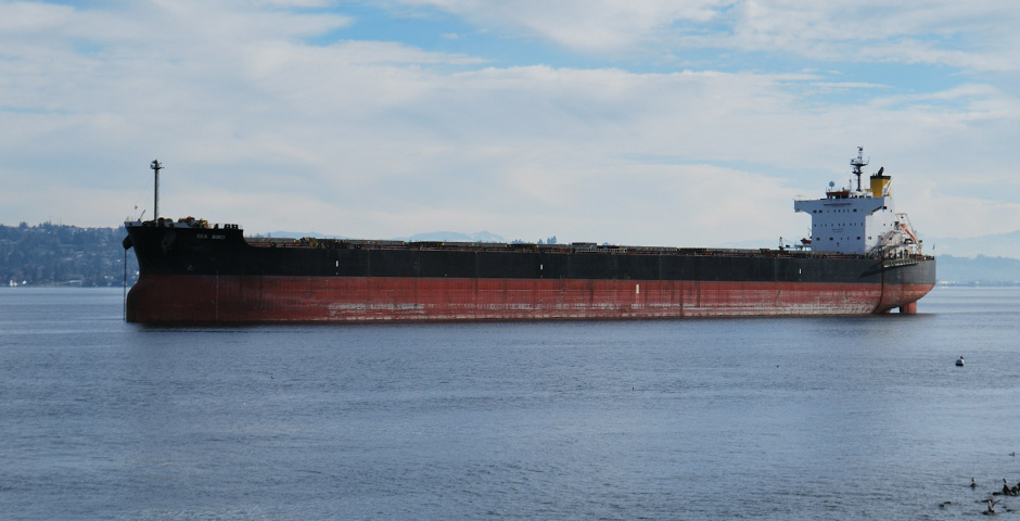    Фото: Evan Aker/Unsplash