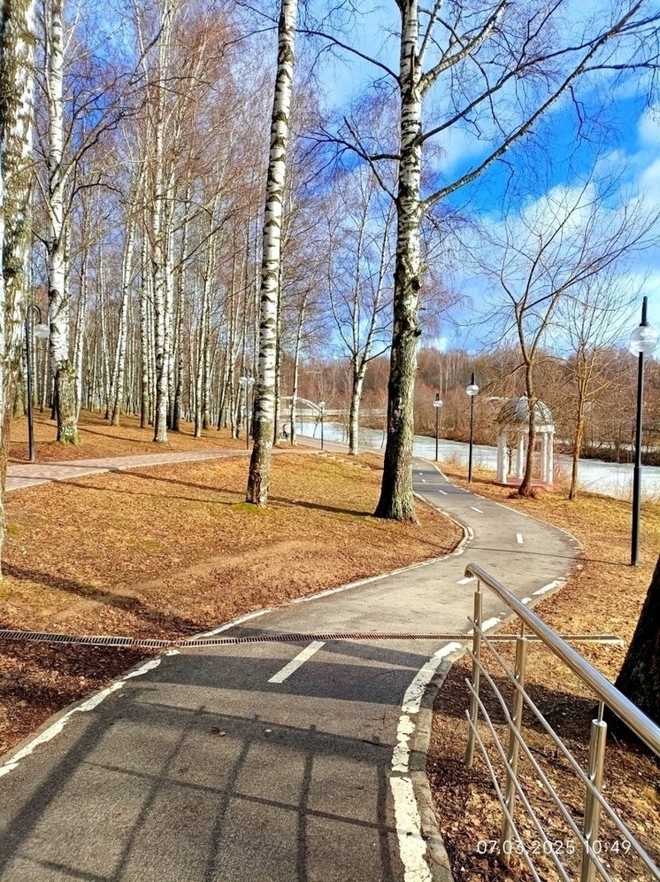   Елена Полякова