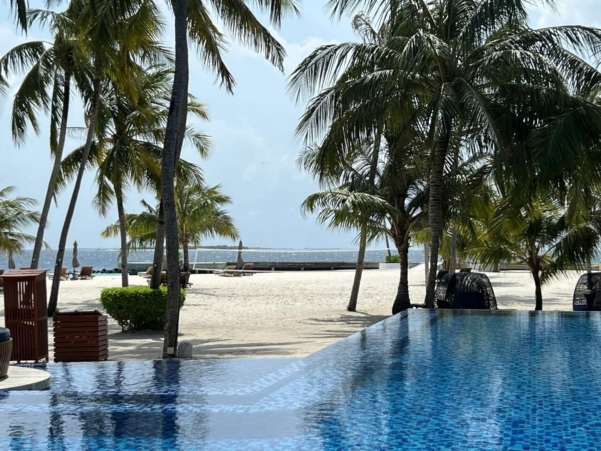     Фото: "Бриф24"