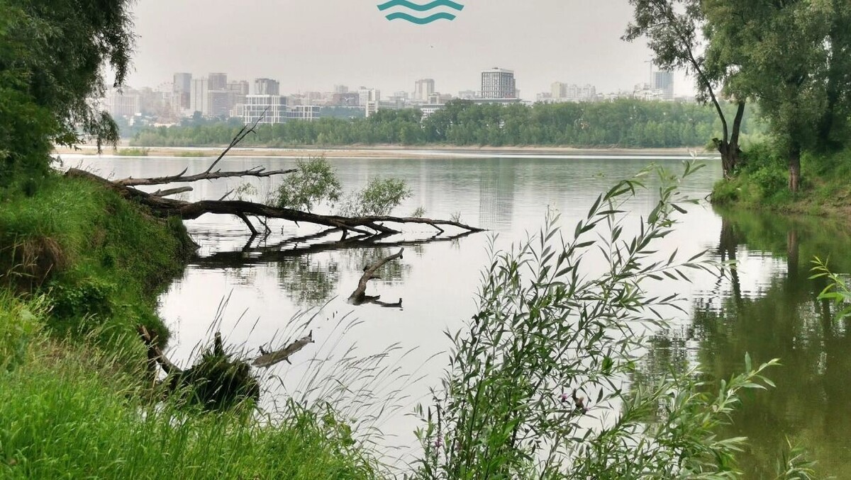    Здесь будет располагаться центр парка «Усть-Тула»   «Зеленый Новосибирск»