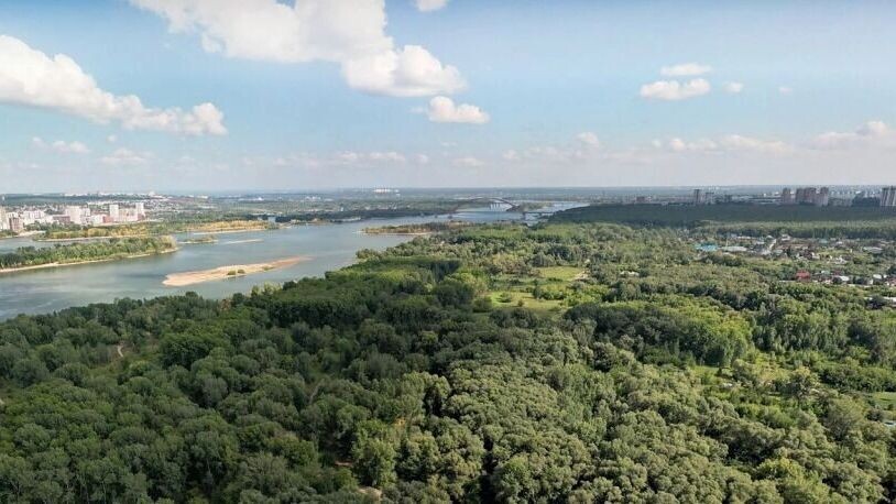    Как это место выглядит сейчас   «Зеленый Новосибирск»