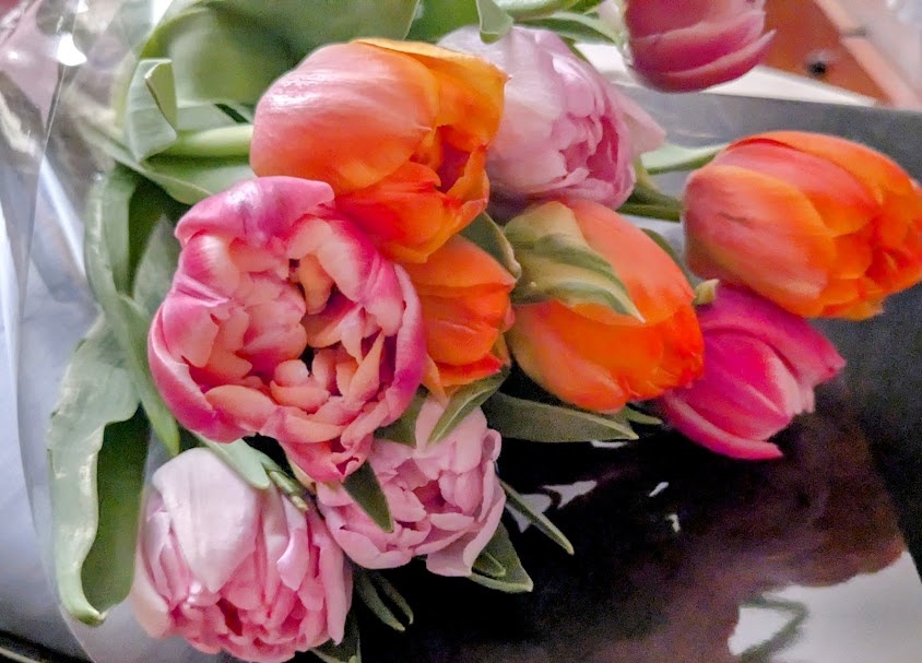 Тюльпаны от сына на 8 марта в прошлом году. Фото автора
