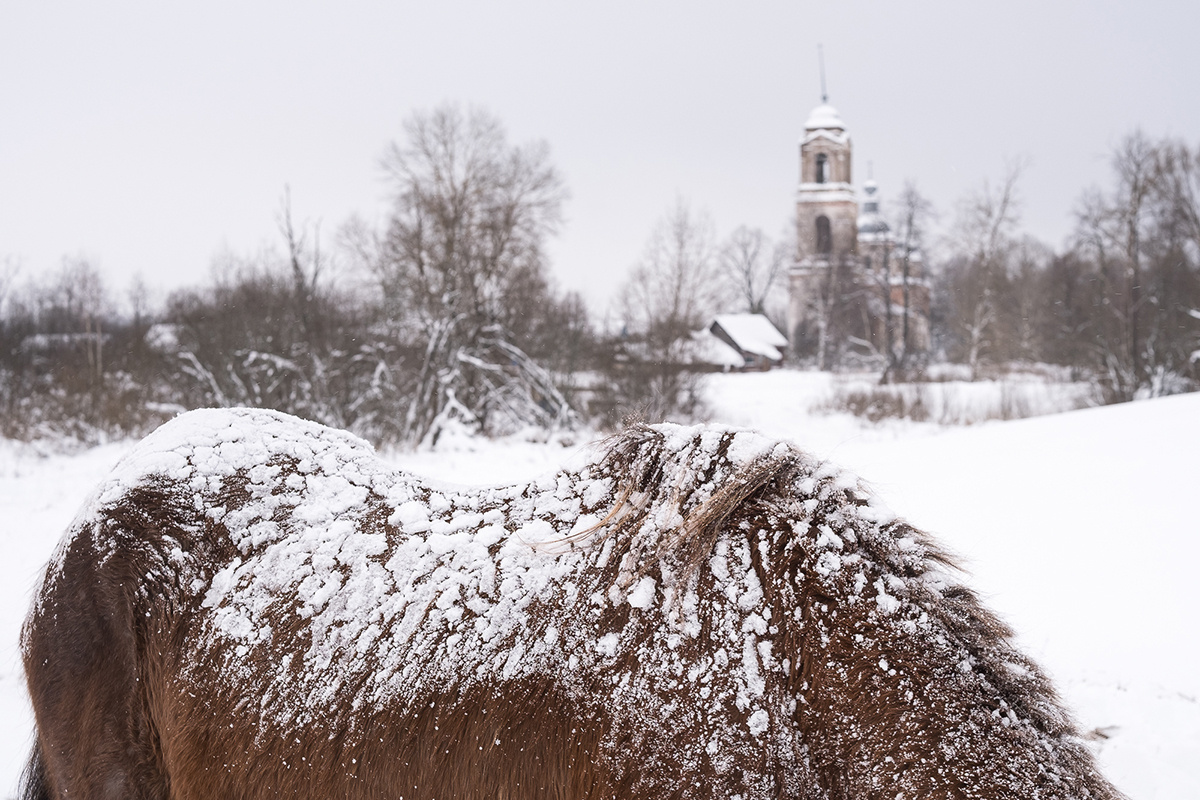 Фото: Наташа Лозинская для ТД