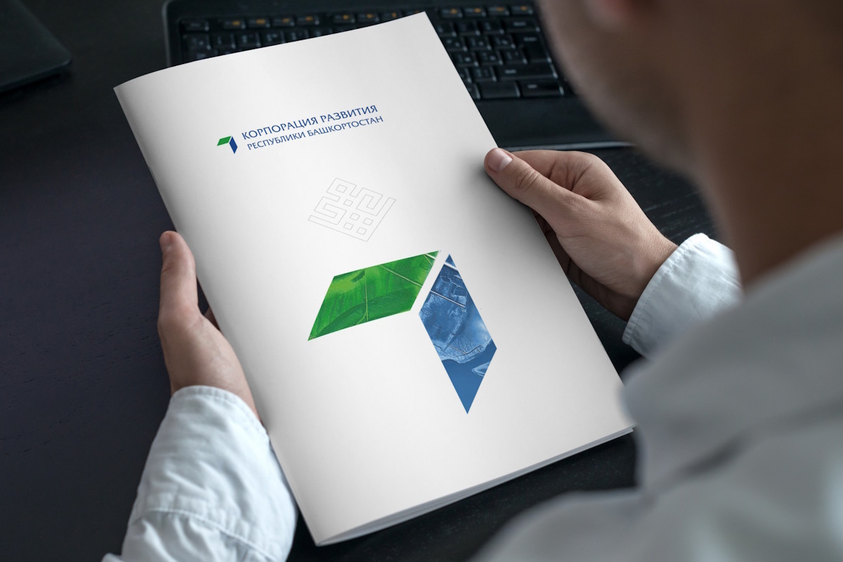    Фото: правительство Республики Башкирия, источник: pravitelstvorb.ru