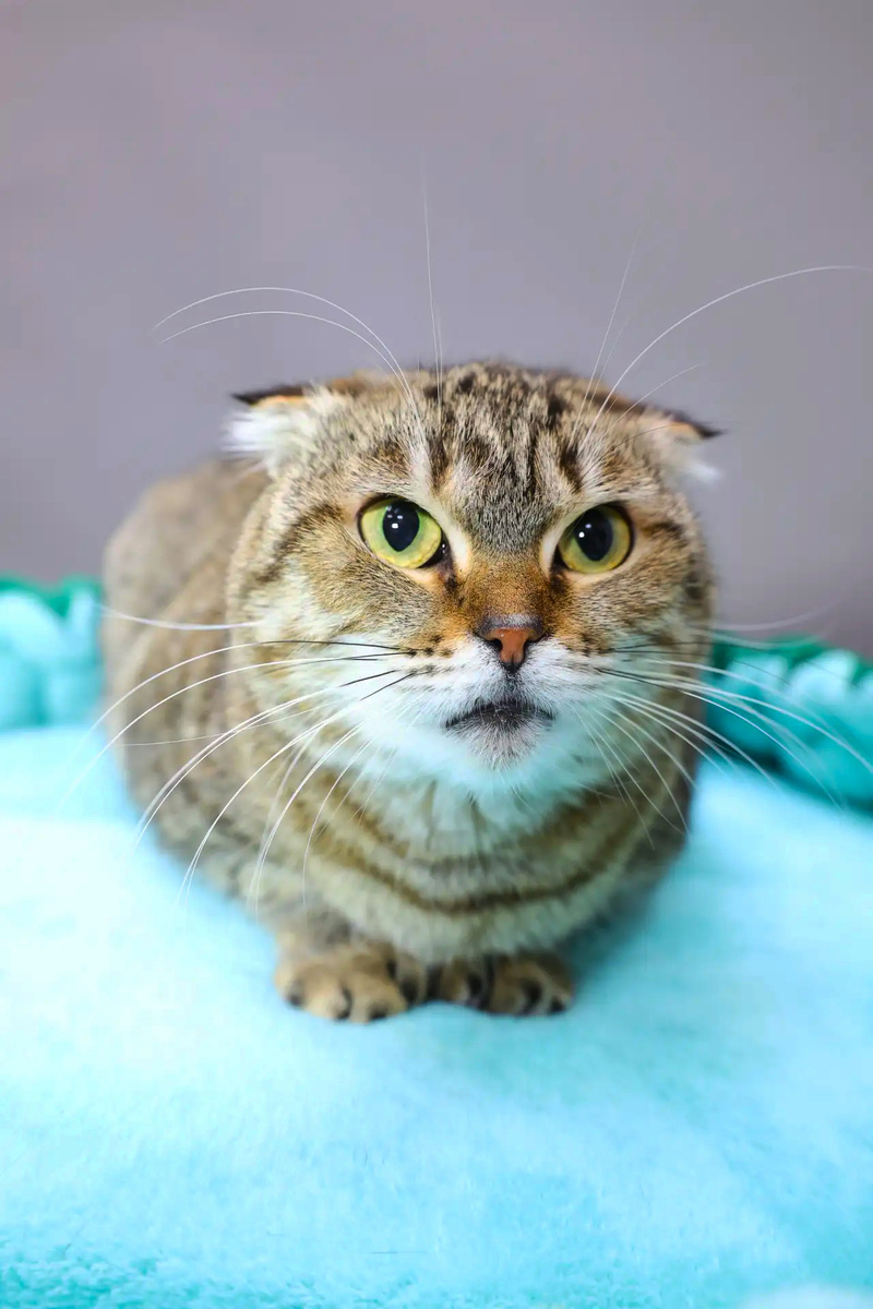 ОХД — это пожизненный диагноз, требующий постоянной поддержки.