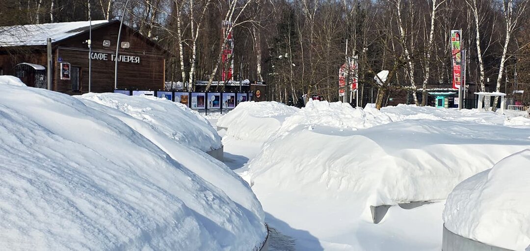 Зимняя красота парка Кузьминки, Москва: фотографии разных лет