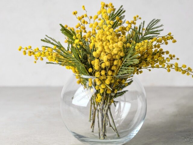    Фото: 123RF.соm/serezniy