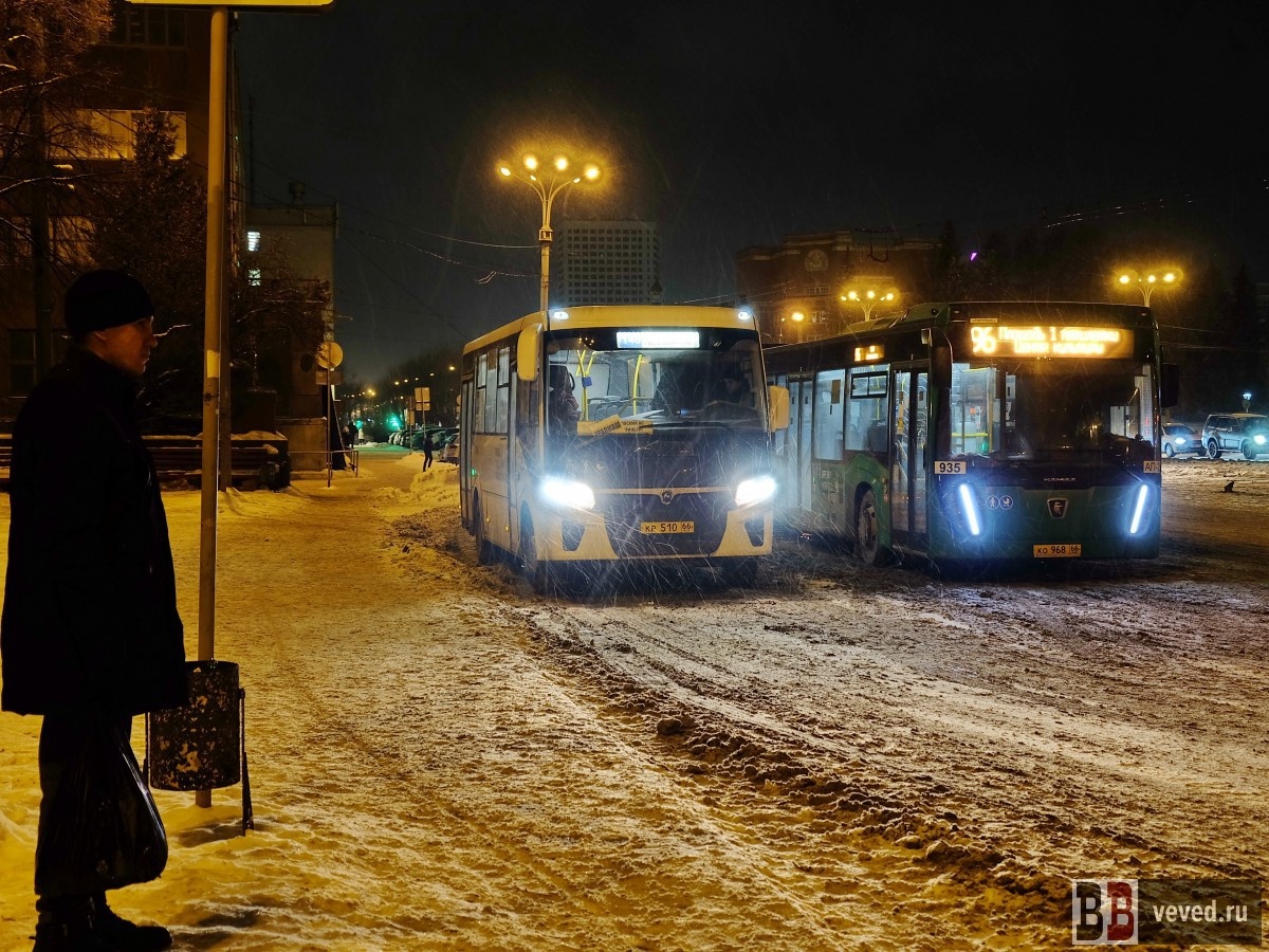     Фото: Владислав Постников / Вечерние ведомости