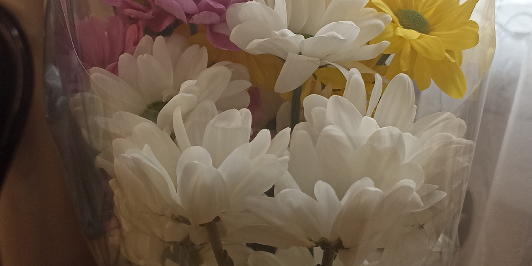 Ремонт по подсказке свыше:как мы обновили зал за шесть дней до весны.