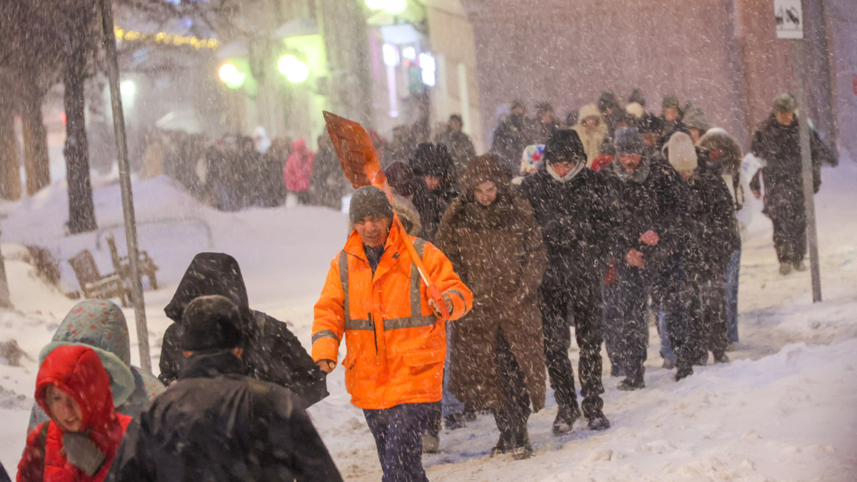     Алексей Белкин/NEWS.ru/ТАСС