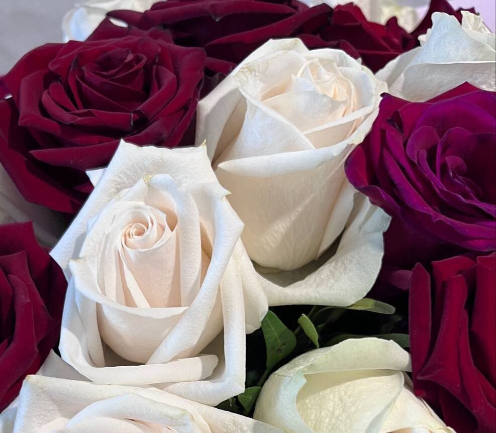 Фото: РБК Юг