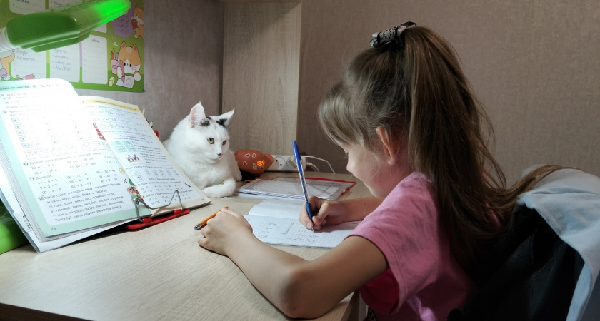    Фото progorod43.ru