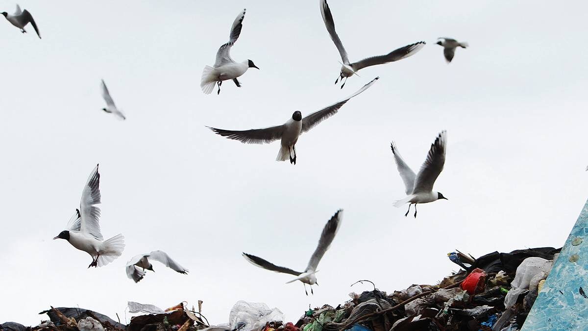    Фото: Наталия Нечаева / Вечерняя Москва