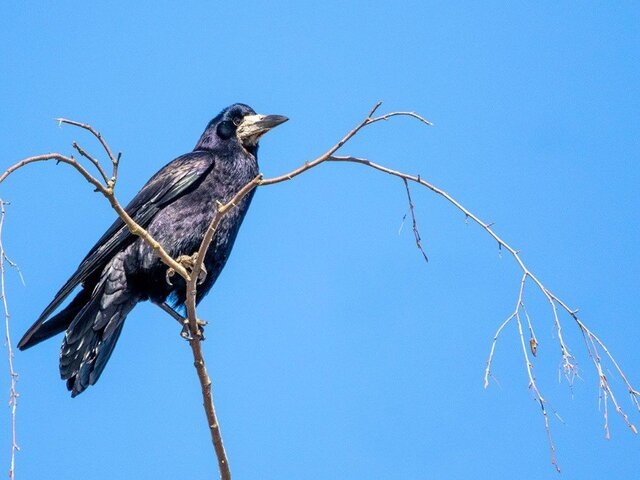    Фото: пресс-служба департамента природопользования и охраны окружающей среды города Москвы
