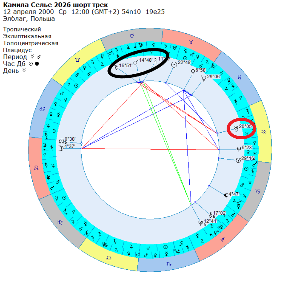 Космограмма К. Селье.