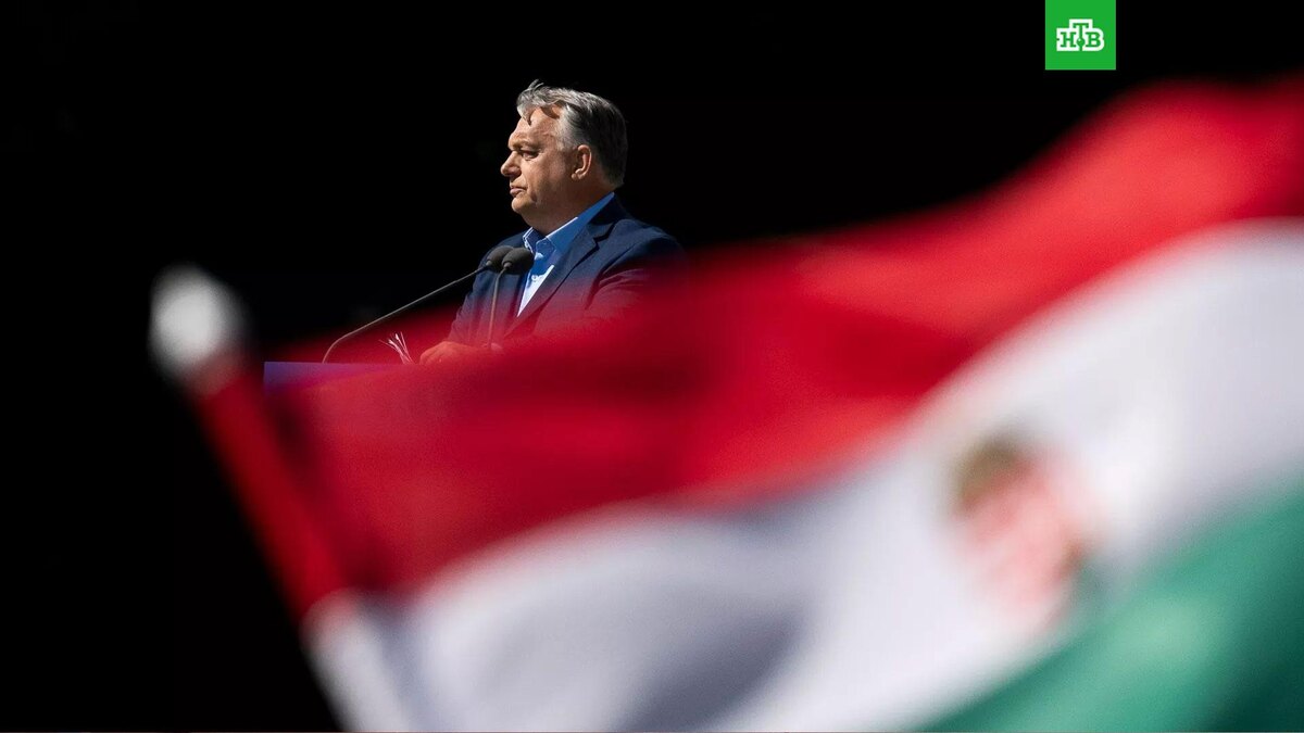    Фото: Associated Press © 2026, Denes Erdos