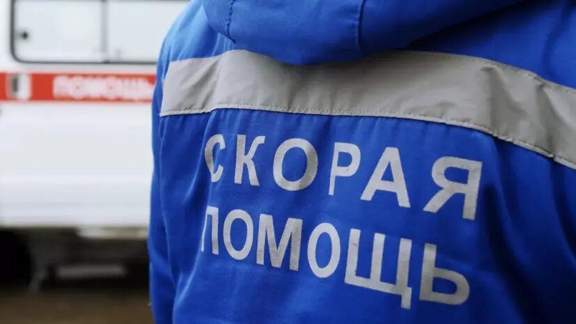    Источник: russian.rt.com Оливия Ильинская