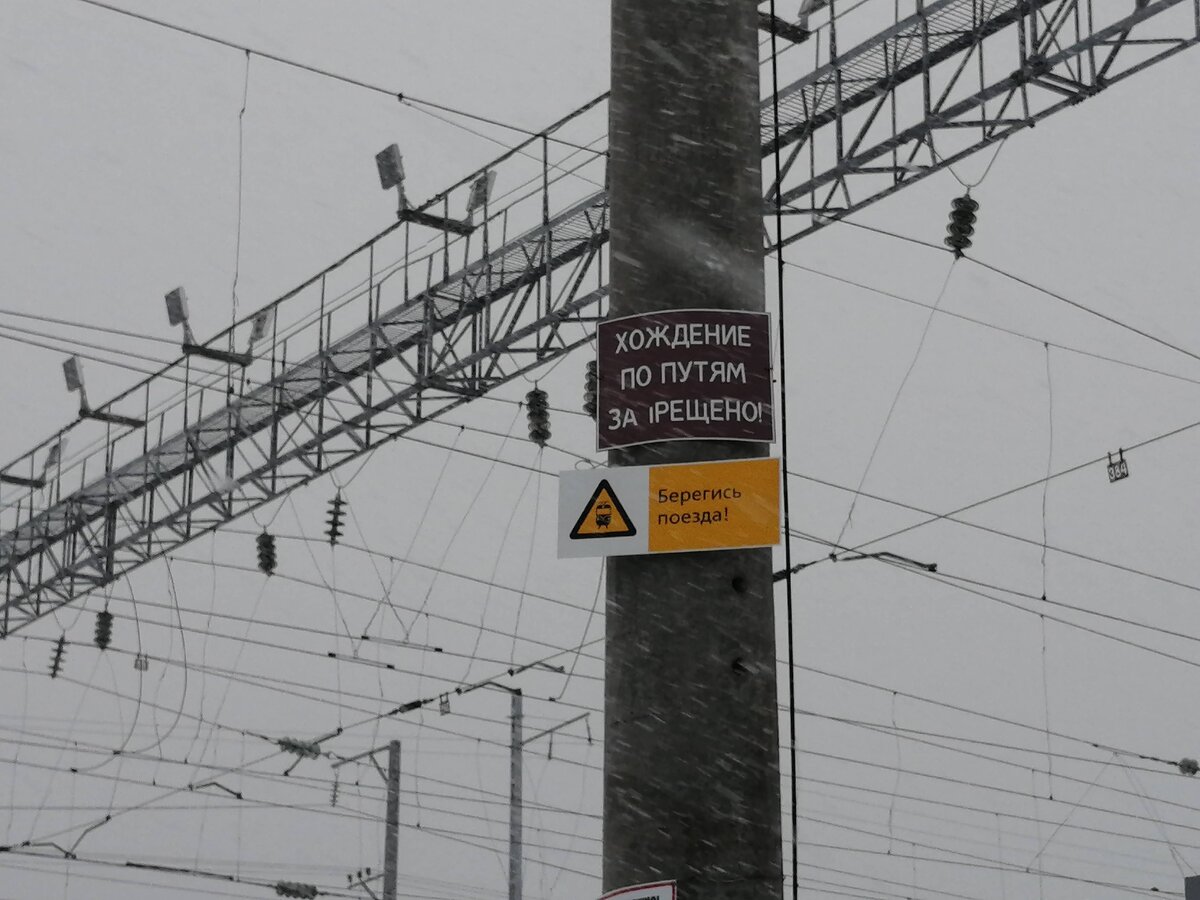    Максим Берштейн