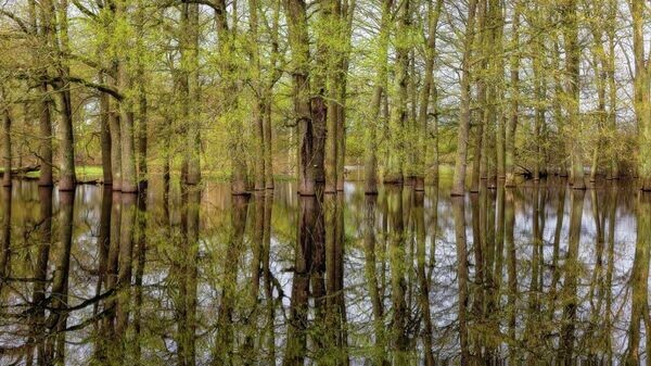    © Social media page of yацпарк "Припятский"