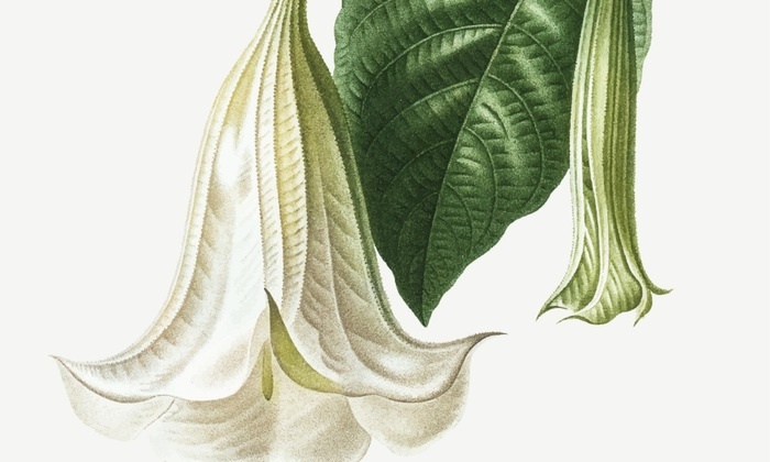 Агентам ФБР не дают обыскать ранчо Эпштейна