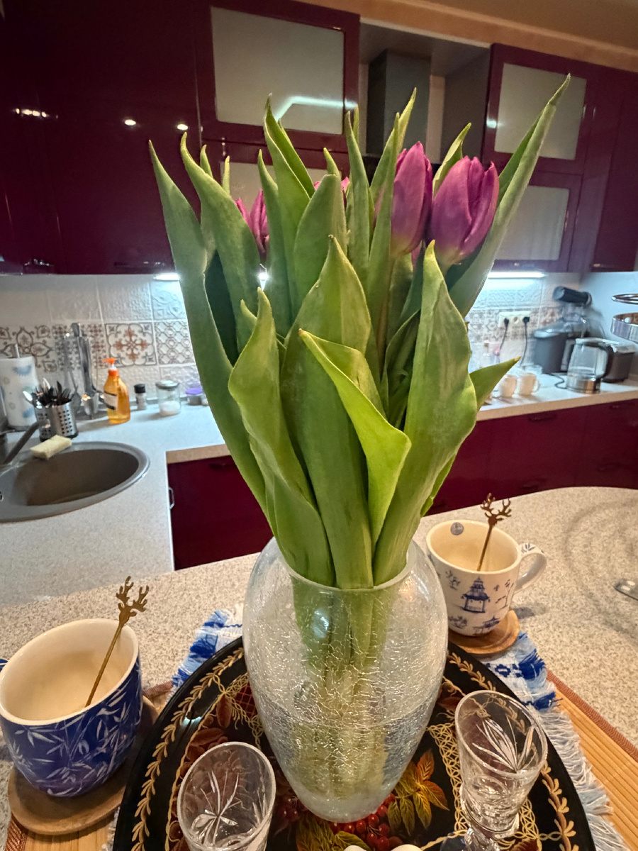Первые тюльпаны на моей кухне в этом году! Из-за холодной зимы сезон цветов начался толко 4 марта(