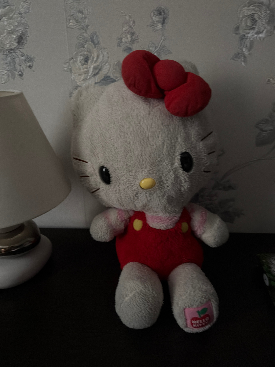 Моя  Сплюша) Да, я взрослая тетка, но с детства сплю с мягкой игрушкой в обнимку)))  Сплюша со мной уже почти 14 лет)