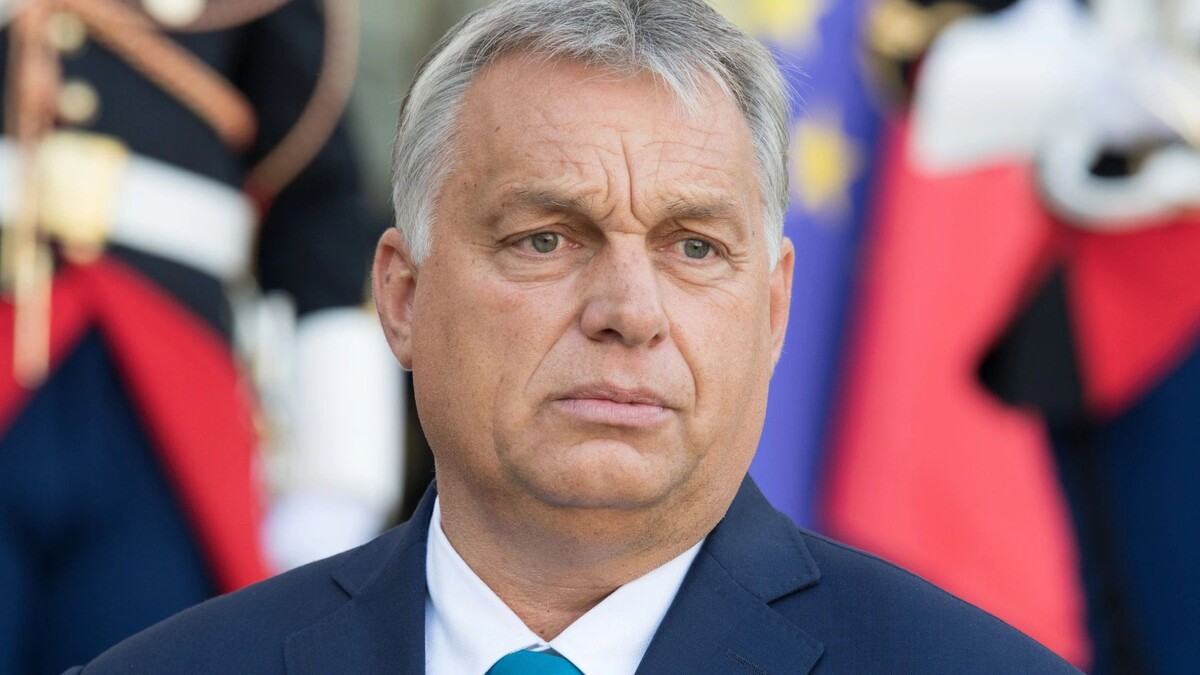    Фото: Frederic Legrand - COMEO/Shutterstock/Fotodom