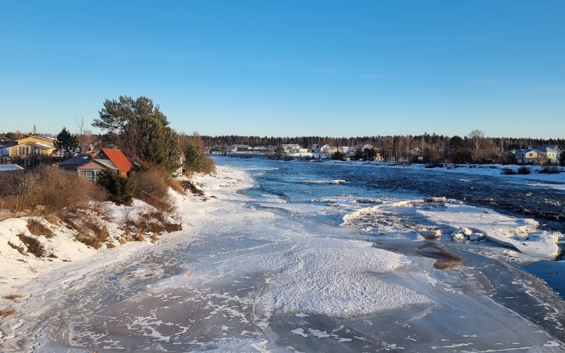    Ирина Яковлева