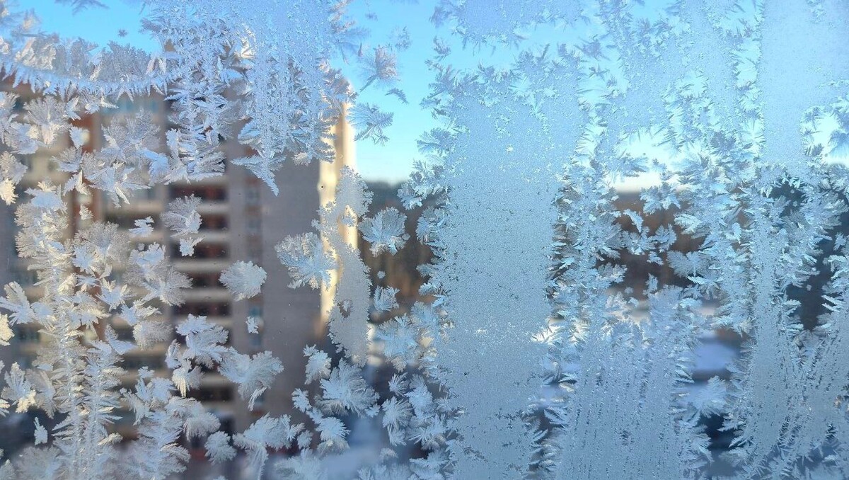   Мария Наумова / udm-info.ru