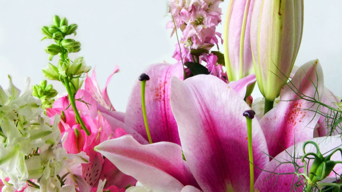     Martti Salmi/Unsplash