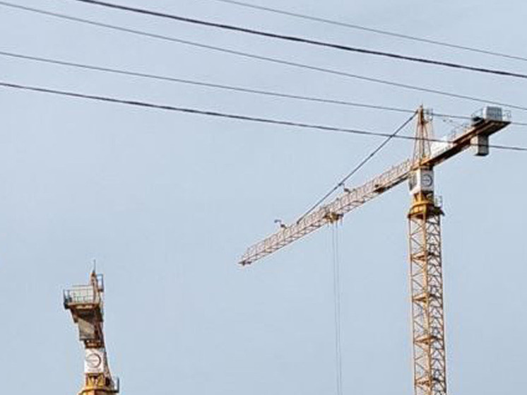     В Великом Новгороде построят школу для одаренных детей. фото: архив МК в Великом Новгороде