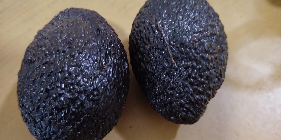 Авокадо Хасс: тот самый чёрный, ради которого вы готовы платить втридорога