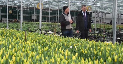 Фото: https://max.ru/id2610020629_gos