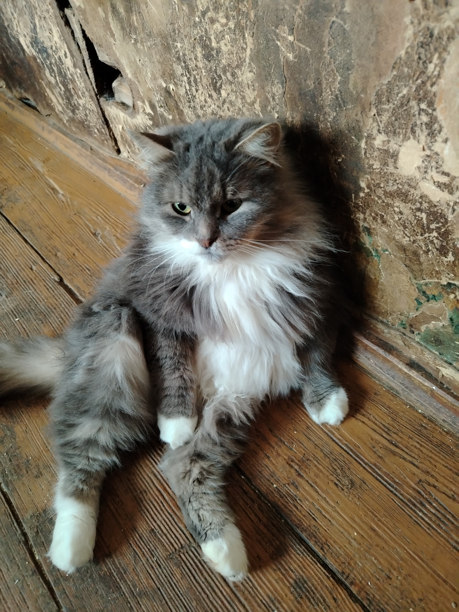 Феня. Первый дом. 