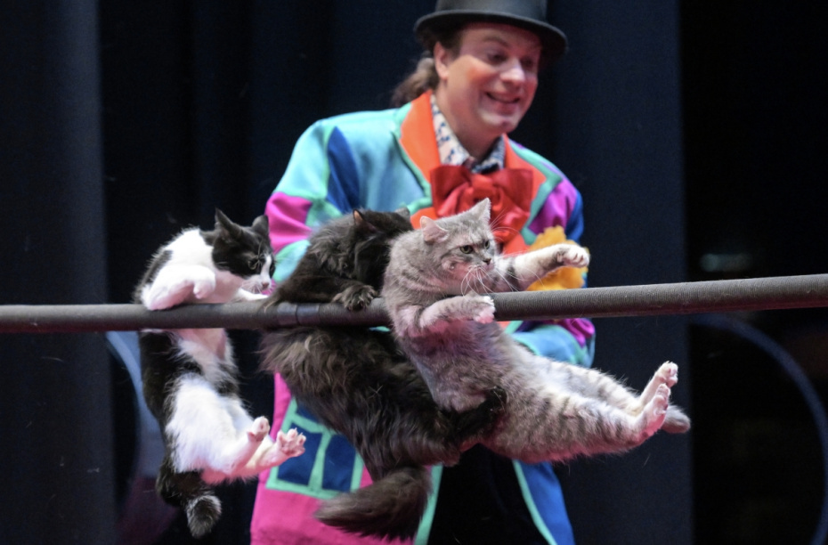    Максим Богодвид/РИА Новости