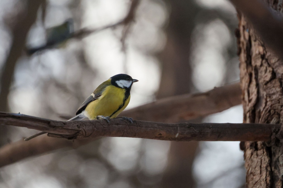    Алексей Белкин/NEWS.ru