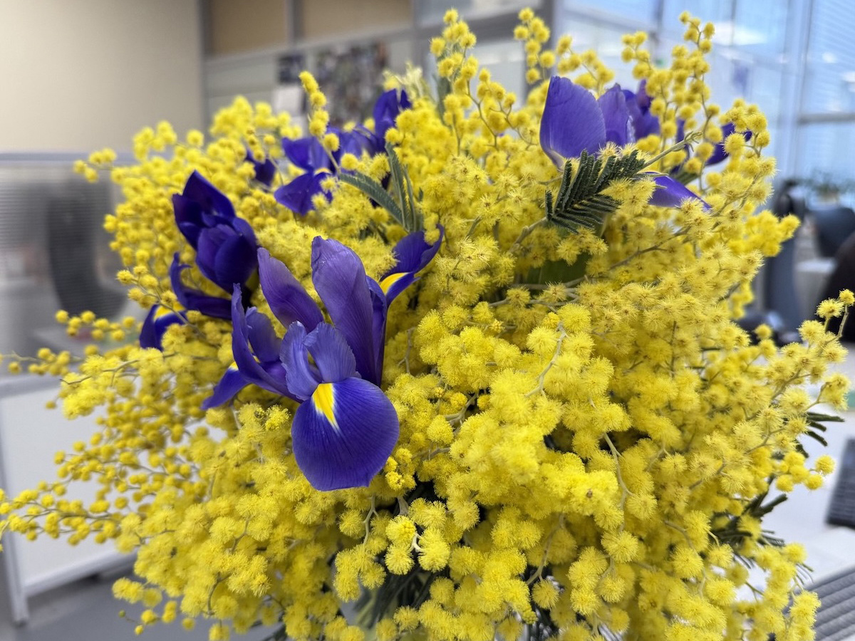    В феврале трафик на сайты, где можно заказать карту звёздного неба, вырос почти в 5 раз