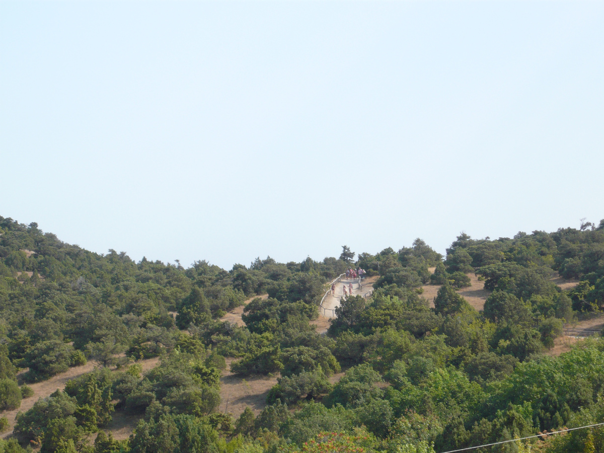 Вид с балкона на тропу в Можжевеловой роще 