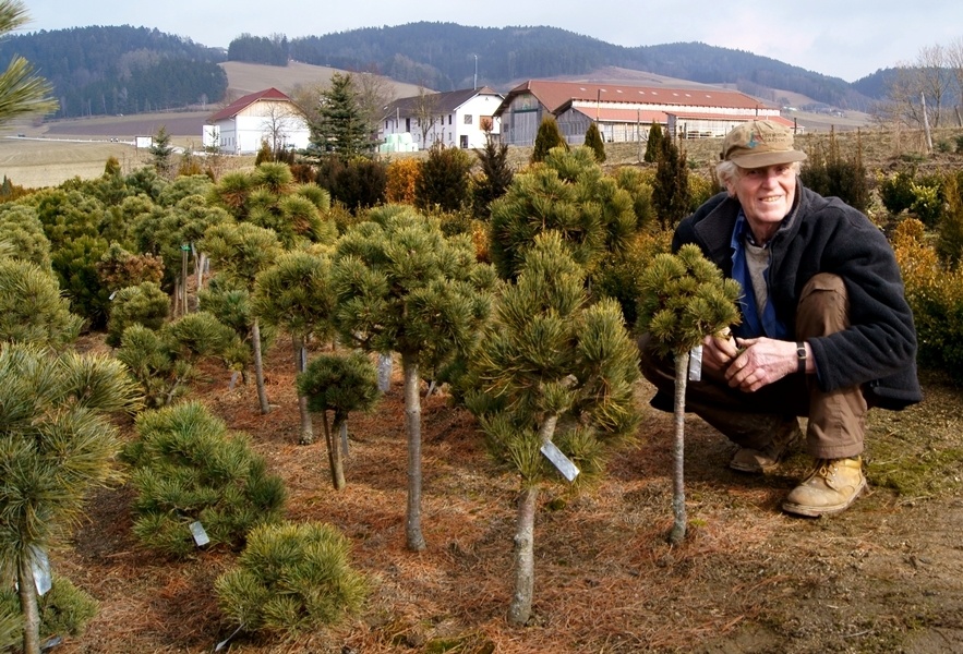 Его коллекция показана на этой фотографии 