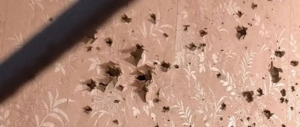    Фото: Правительство Севастополя/ Михаил Развожаев