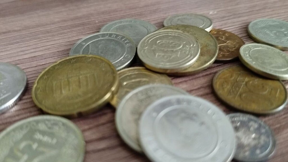    Фото: телеканал «Краснодар»