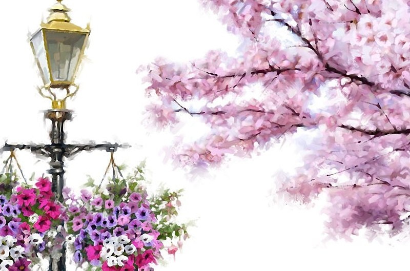 �������� ����������� : my.mail.ru�mail/michaelarx/photo/17462