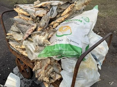    Фото пресс-службы ГУ МВД России по РО Татьяна Пшеничная