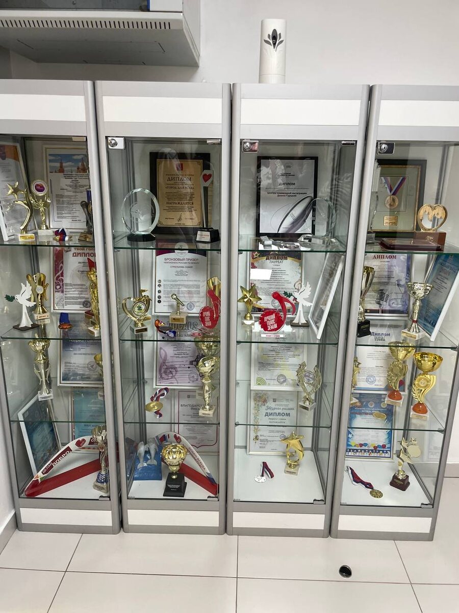 Награды воспитанников Центра социальной интеграции Дианы Гурцкая