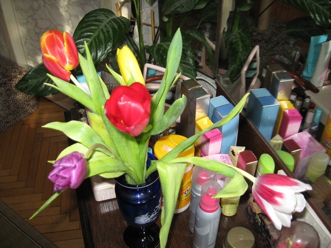 Фотография автора