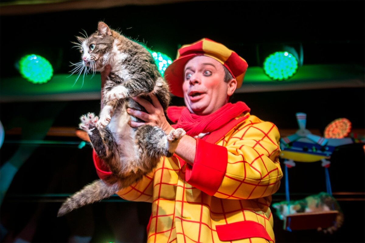    Кошка из зоны СВО дебютировала в спектакле Театра Куклачева