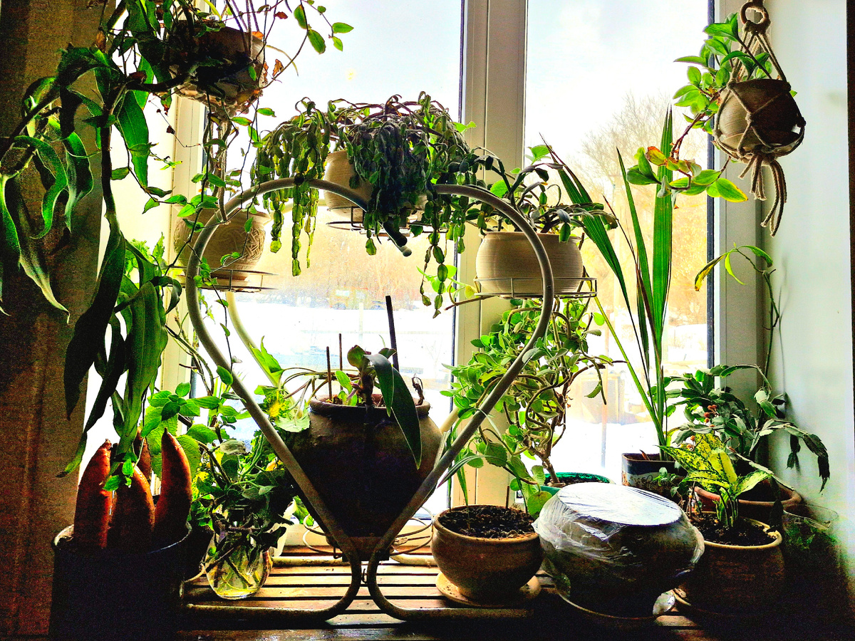 Фото автора 